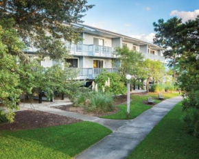 Modern Condo with Great Amenities in Historic New Bern - One Bedroom #1